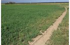 Property photo 47 - LAND AUCTION, 3255+/- Acres offered in 13 Tracts